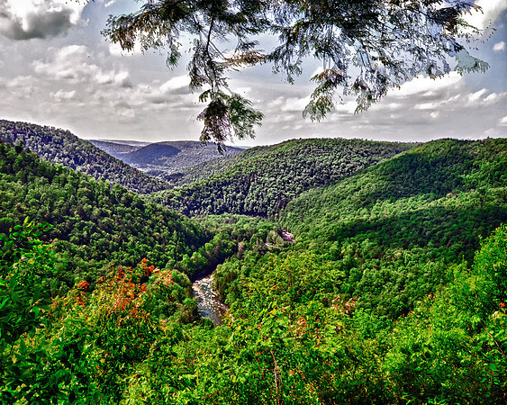 Loyal Sock Gorge Vista