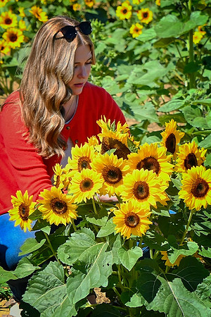 Girl and Sunflowers