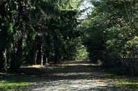 Back Road