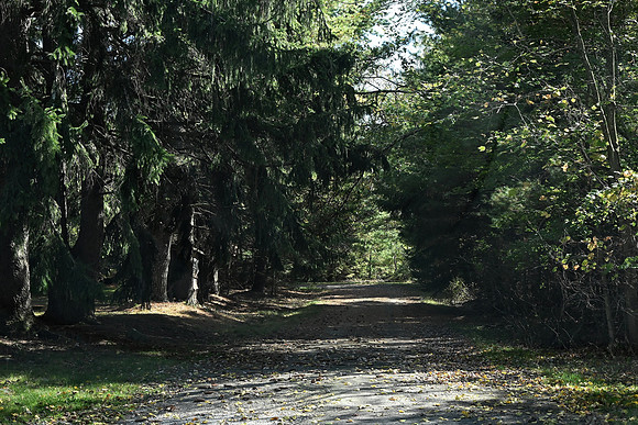 Back Road