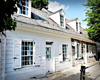 Johannes Mueller House