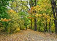 The Path Back