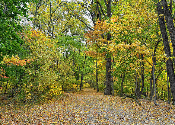 The Path Back