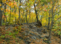 The Rocks Beckon