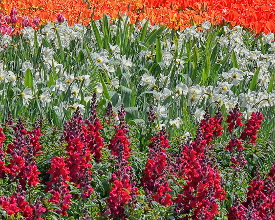 Flower Waves