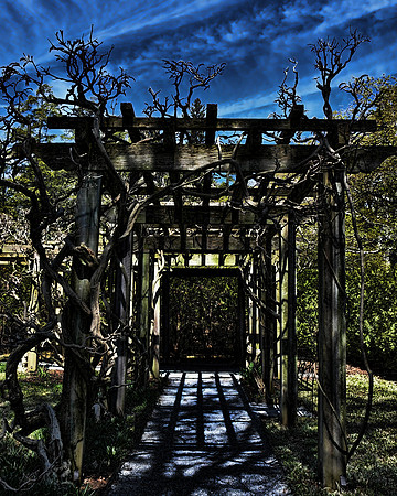 Enter If You Dare