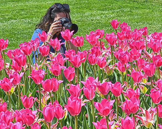 Getting the Shot