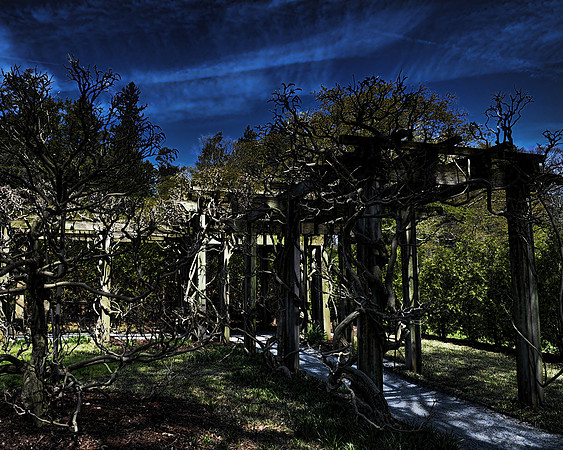 Night in the Gardens
