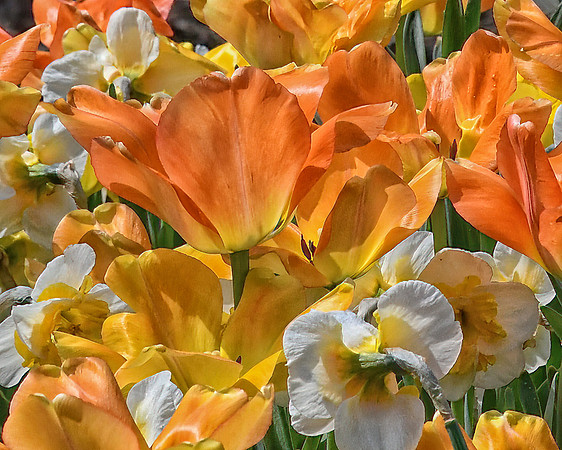 Springtime Bouquet