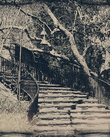 The Steps