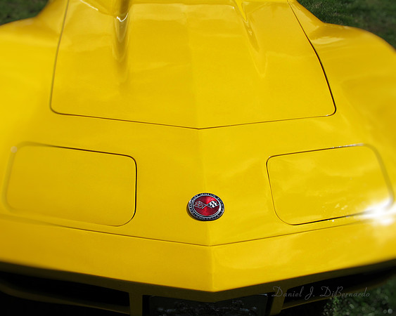 Vette Yellow
