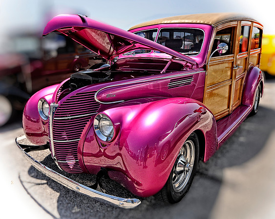Fuschia Woody