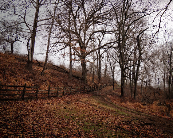 The Path