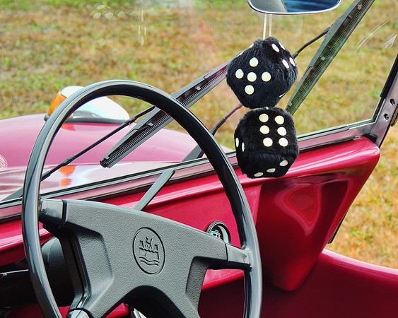 Buggy Dice