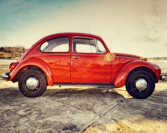 The Bug