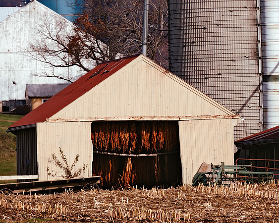 Tobacco Drying