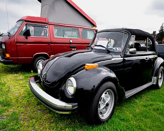 Black Beetle and the Red Camper