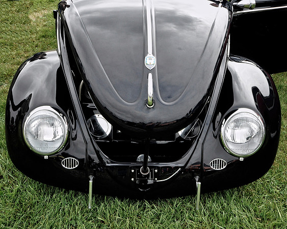Black Bug