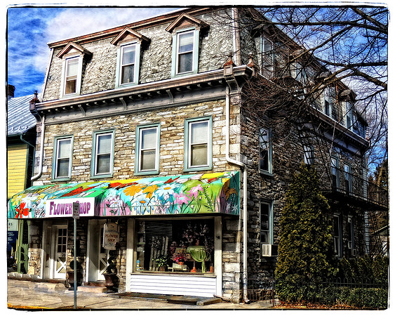 The Flower Shop