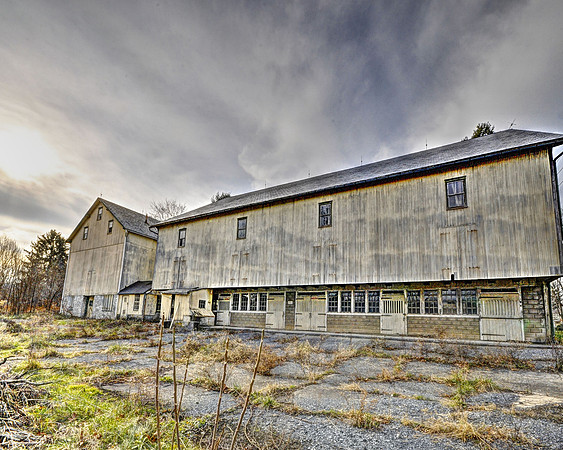Left To Decay