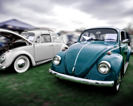 Two Bugs Two