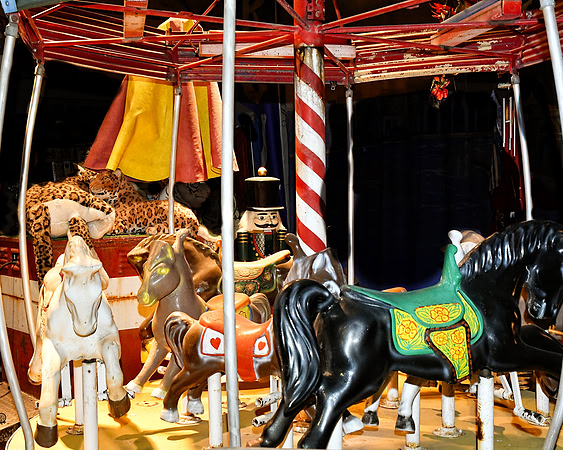 Small Merry-Go-Round