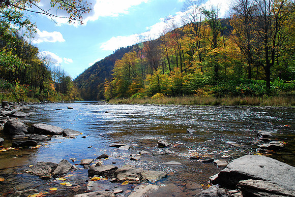 Pine Creek River Bed