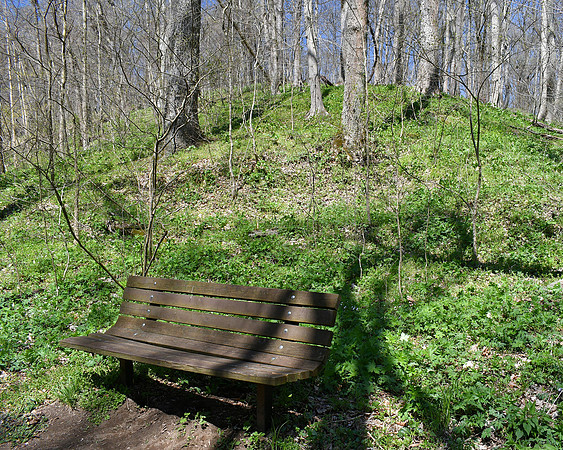 Sit and Rest