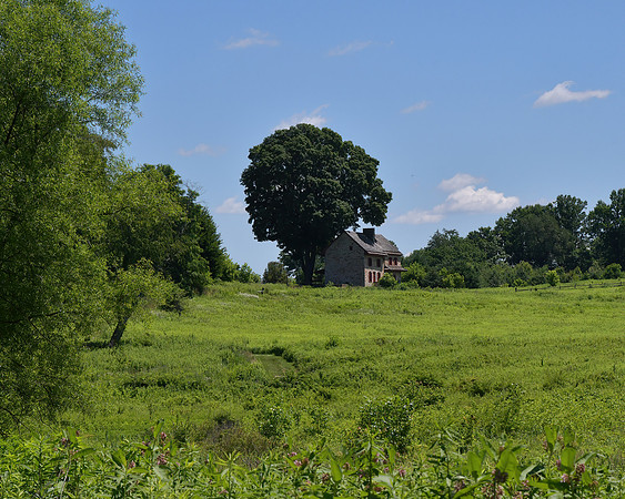House and Meadow
