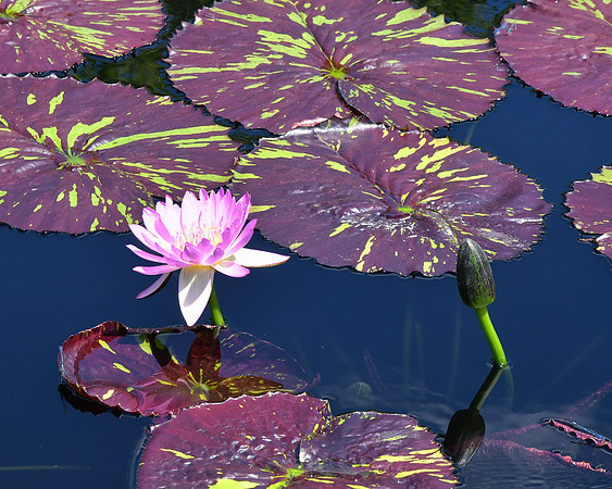 Look At Natures Beauty