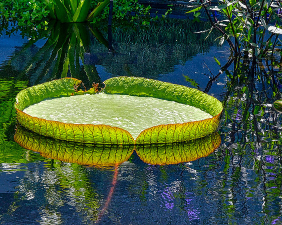 Colorful Pad