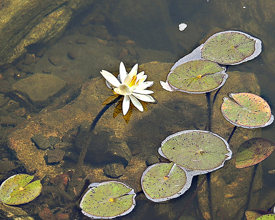 Floating Softly