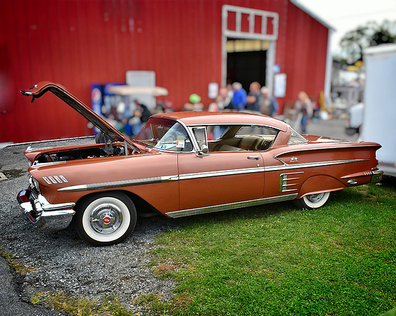 Golden Impala