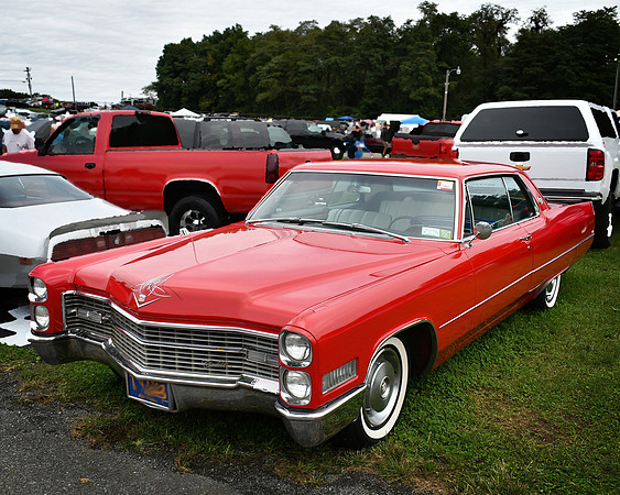 Red Beauty