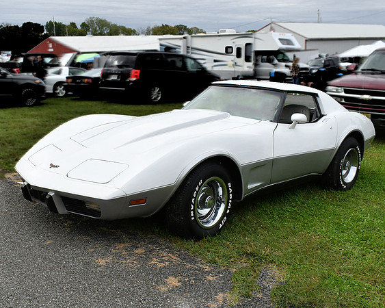 White Stingray