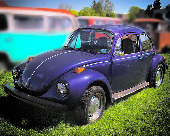 Purple Bug