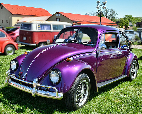 Purple Haze