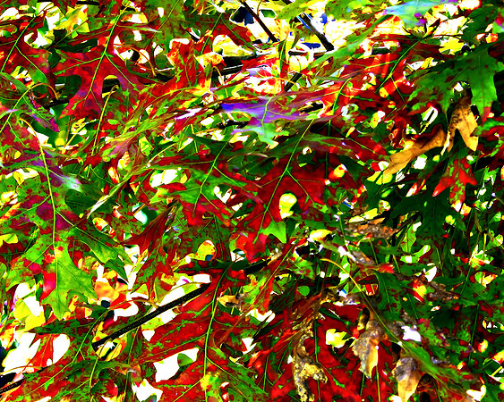 Christmas Leaves