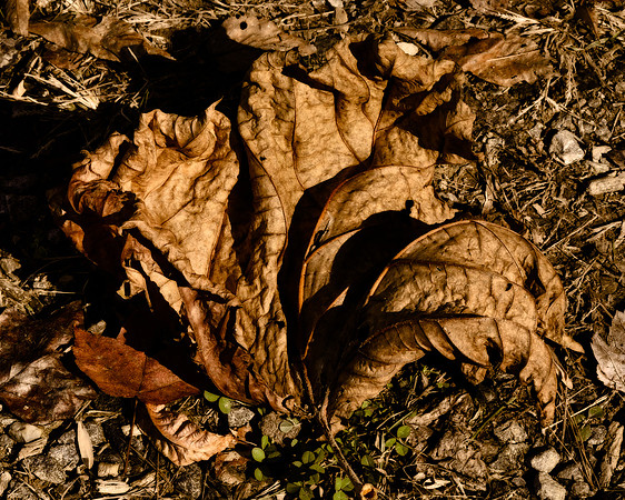 End of the Season