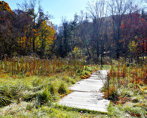 Beginning of the Path