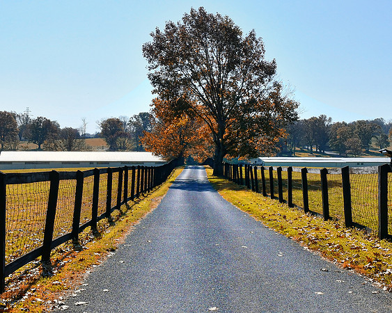 Long Road