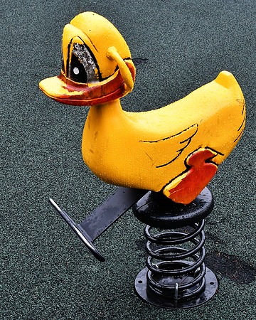 Duckie