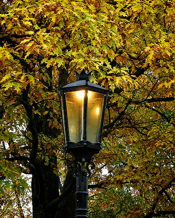 Street Lamp