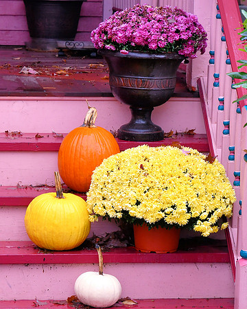 Decorative Steps