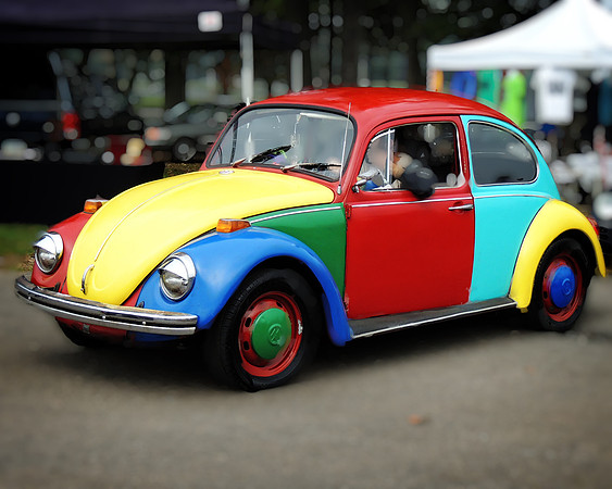 Block Color Beetle