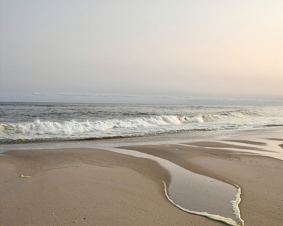 Beach Puddle