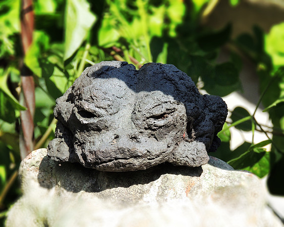 Ribbitt