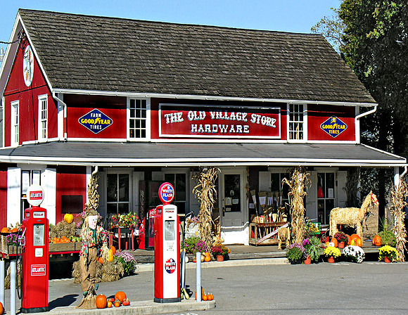 Bird in Hand General Store