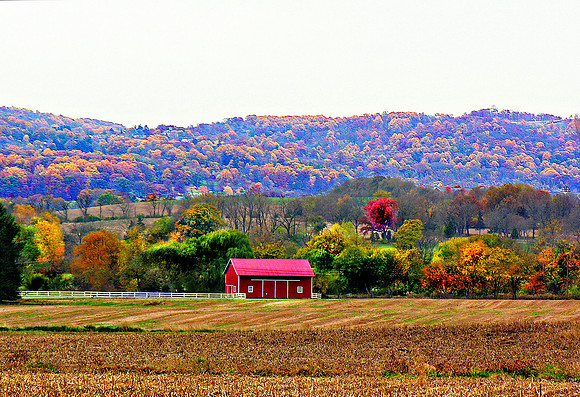Barn in the Fall
