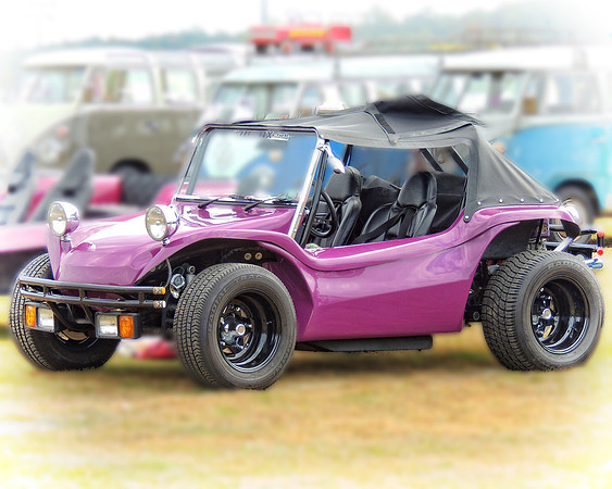 Purple Buggy Delight